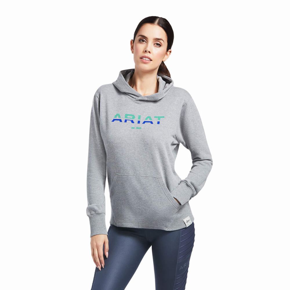 Hoodies Ariat 3D Logo 2.0 Donna Grigie | IT387MNLE