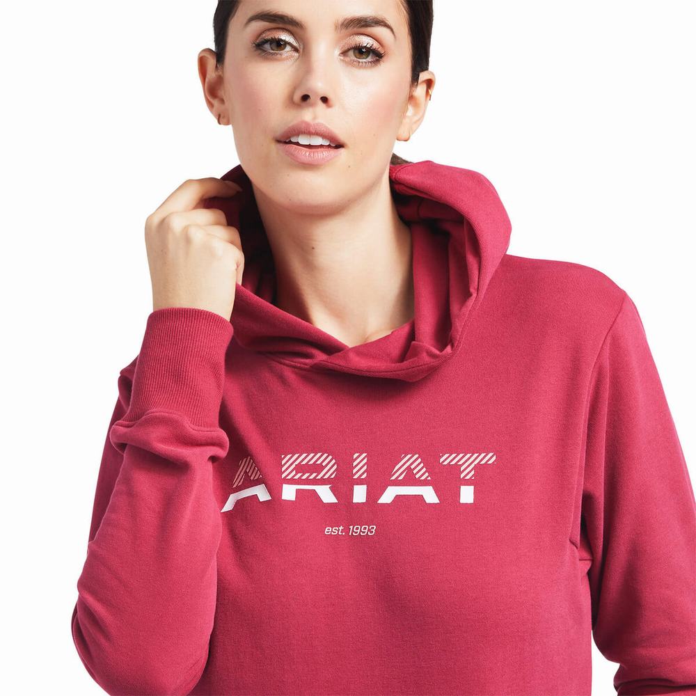 Hoodies Ariat 3D Logo 2.0 Donna Rosse | IT840KEAR