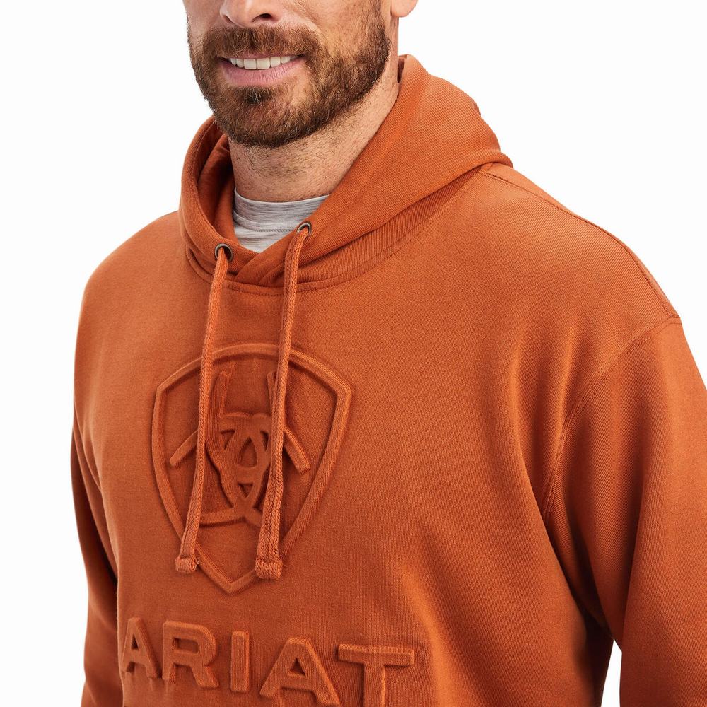 Hoodies Ariat Basic Uomo Beige | IT703NHFP