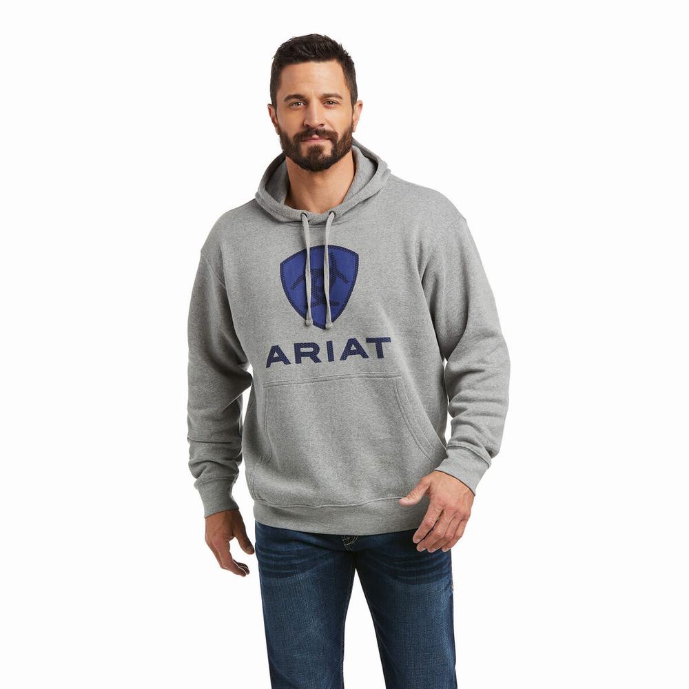 Hoodies Ariat Basic Uomo Blu Profondo | IT341SLQC