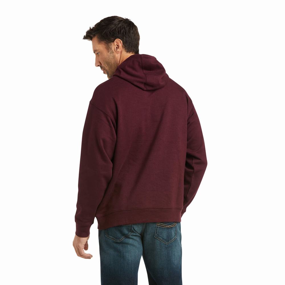 Hoodies Ariat Basic Uomo Colorate | IT732XQKL