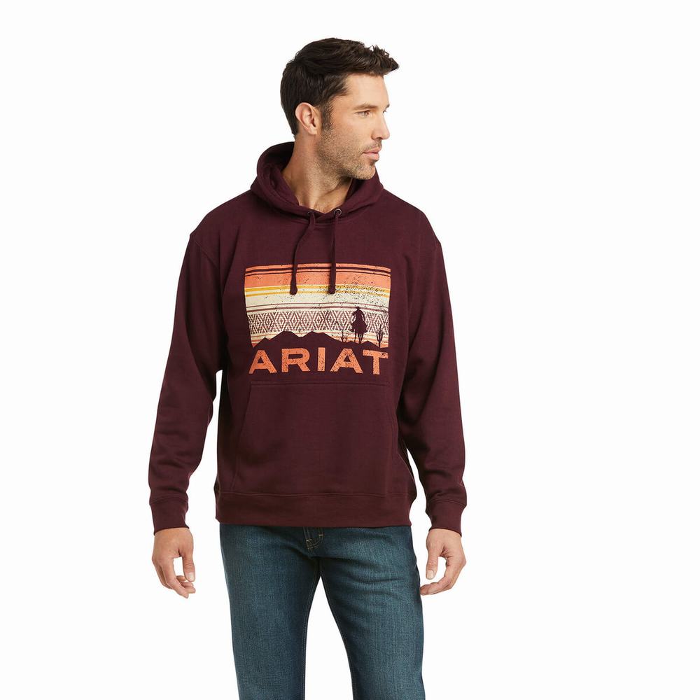 Hoodies Ariat Basic Uomo Colorate | IT732XQKL