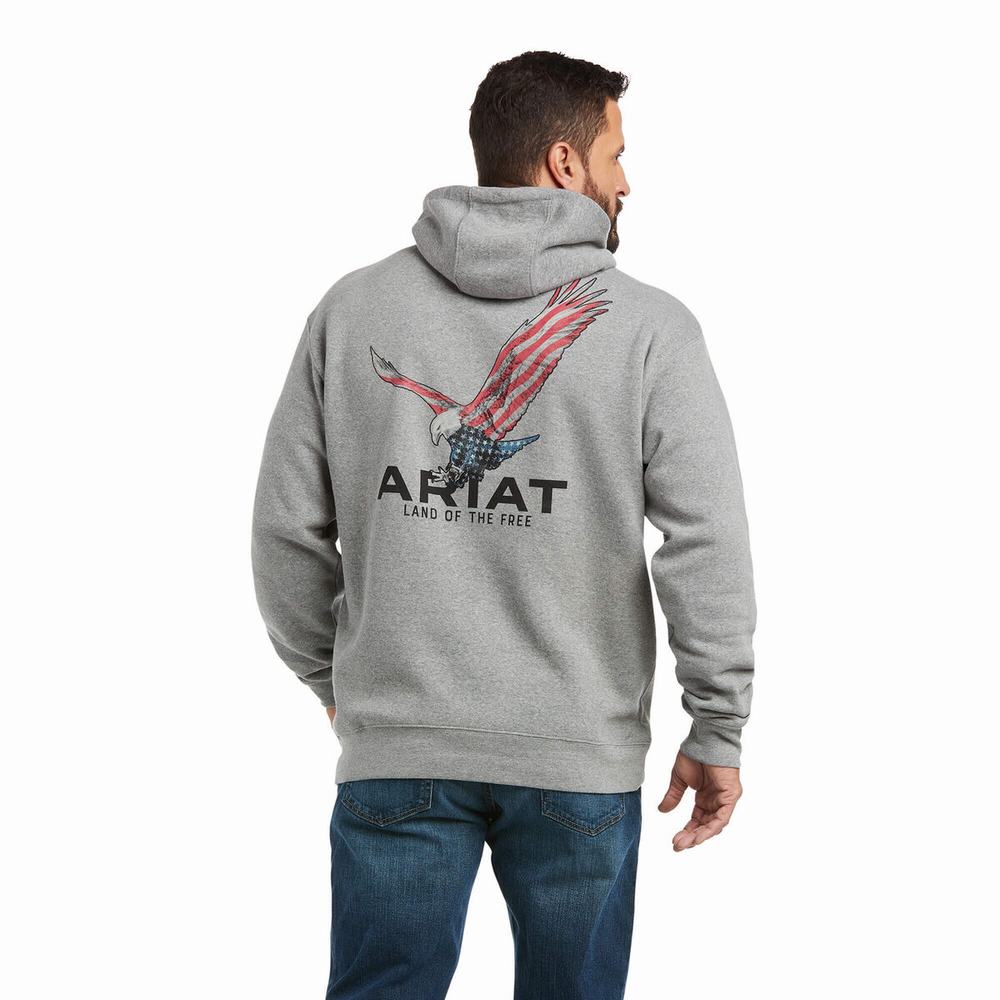 Hoodies Ariat Basic Uomo Grigie | IT746WNMS