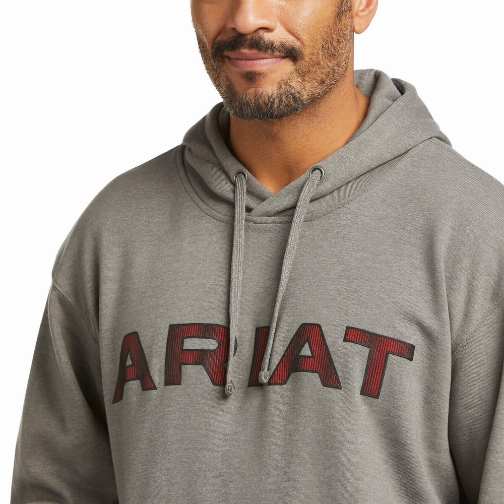 Hoodies Ariat Basic Uomo Grigie Rosse | IT416GPZE