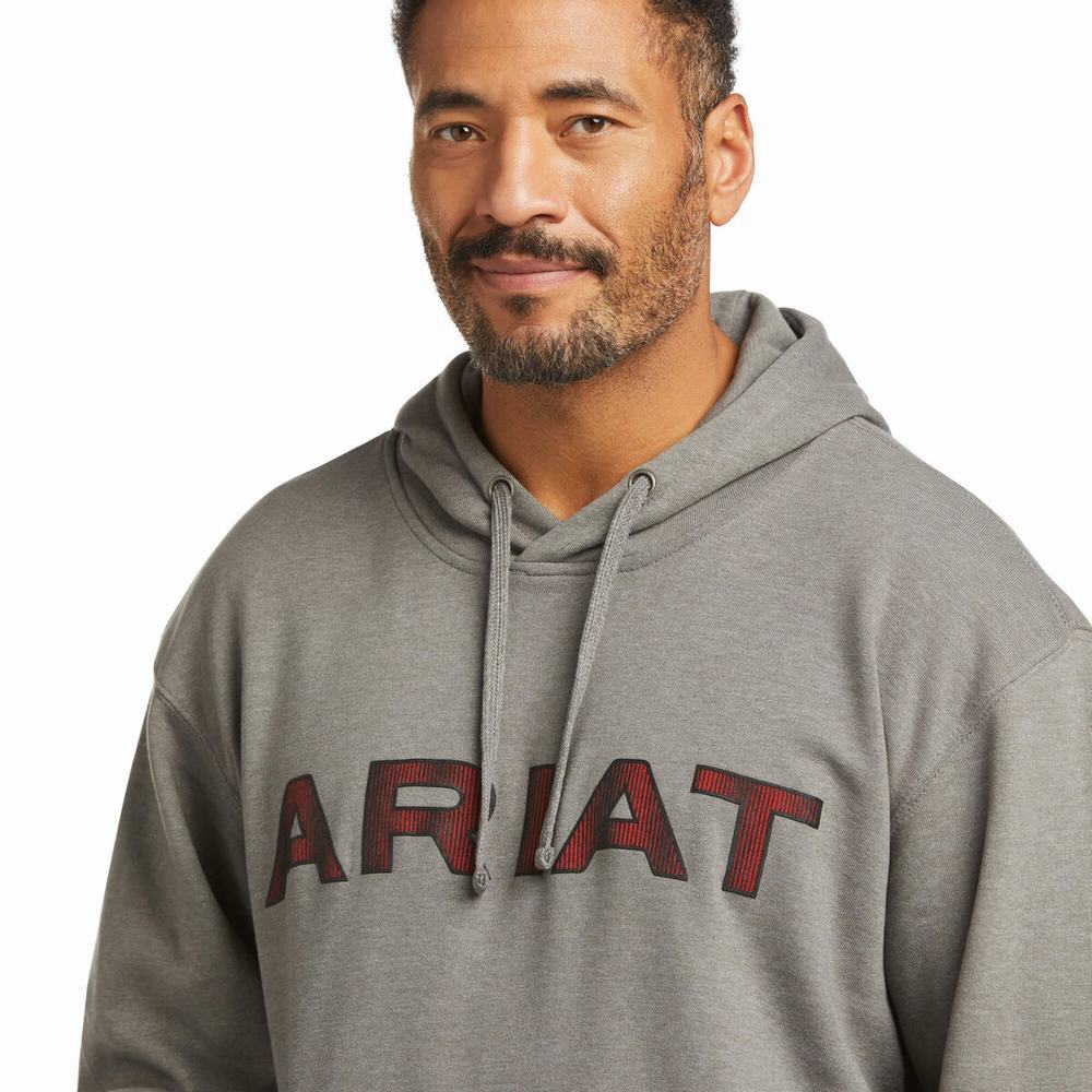 Hoodies Ariat Basic Uomo Grigie Rosse | IT416GPZE