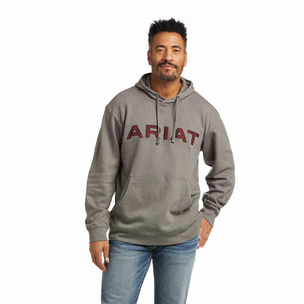 Hoodies Ariat Basic Uomo Grigie Rosse | IT416GPZE