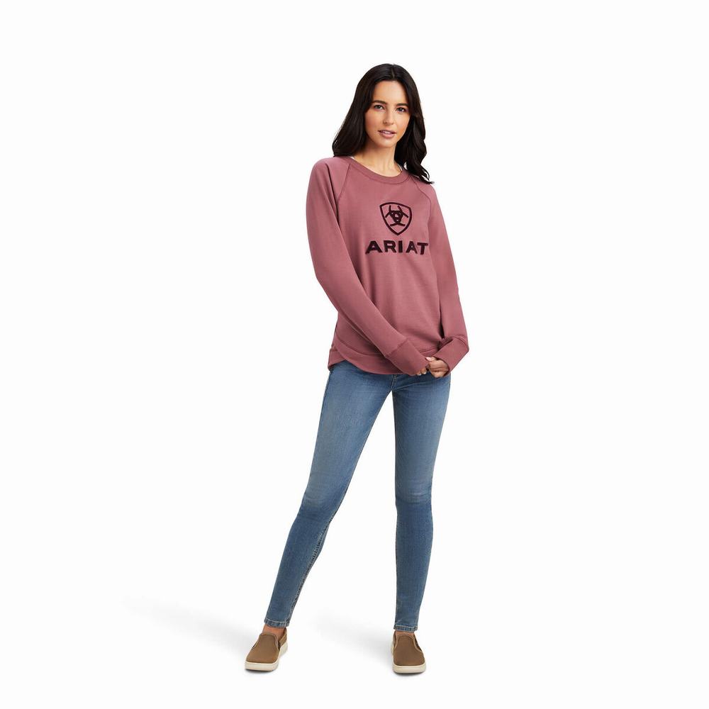 Hoodies Ariat Benicia Donna Colorate | IT217IHNU