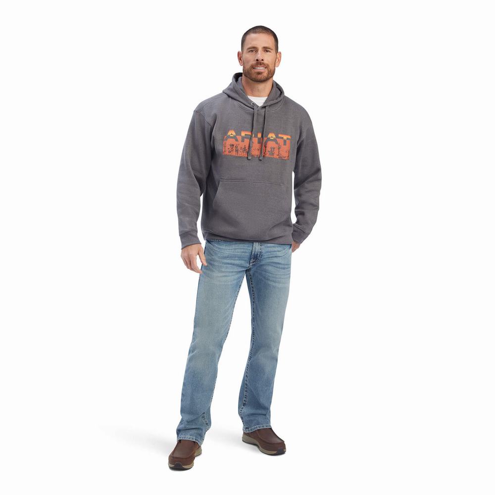 Hoodies Ariat Desert Roam Uomo Grigie | IT614RTKQ