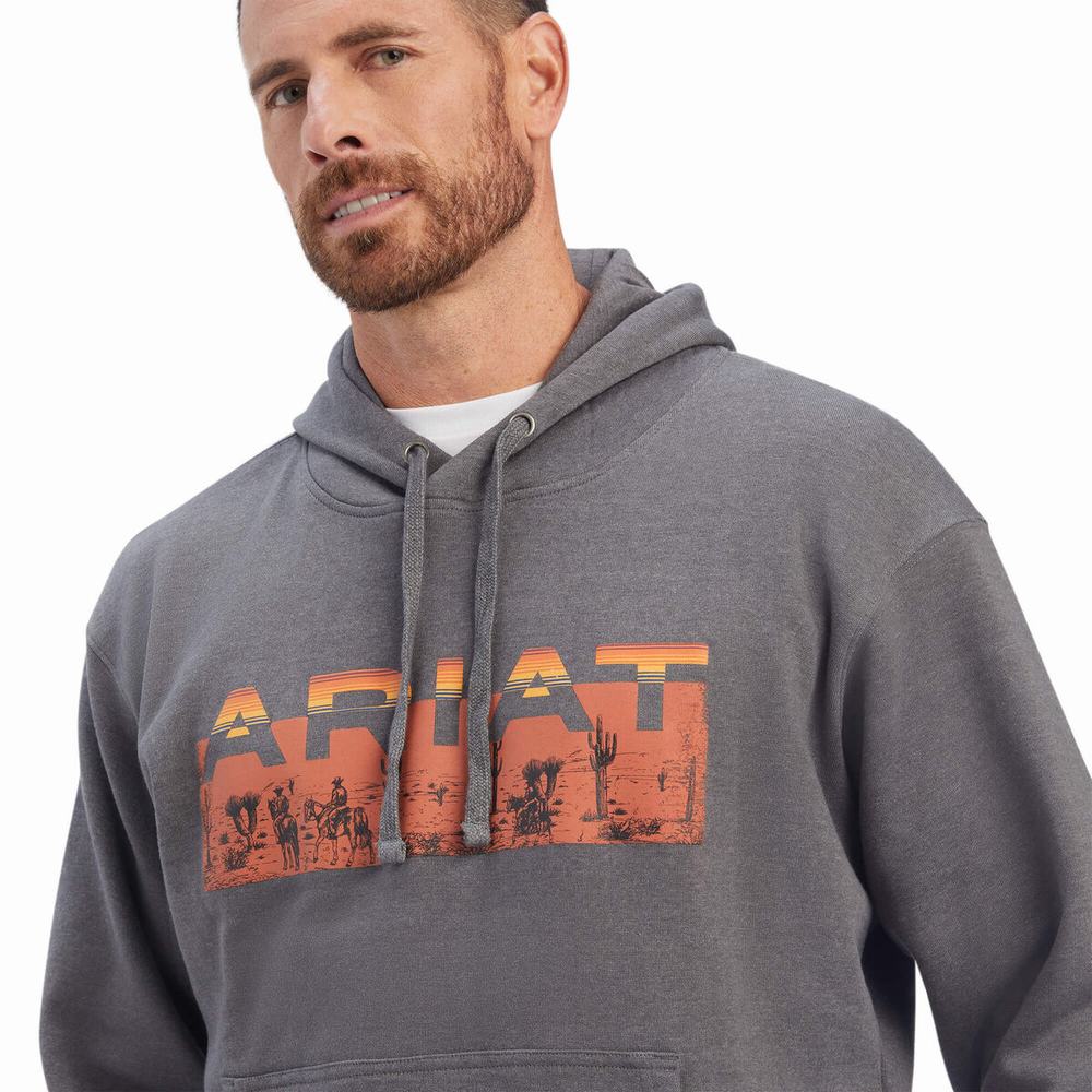 Hoodies Ariat Desert Roam Uomo Grigie | IT614RTKQ