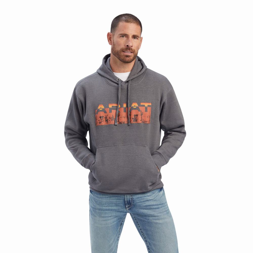 Hoodies Ariat Desert Roam Uomo Grigie | IT614RTKQ