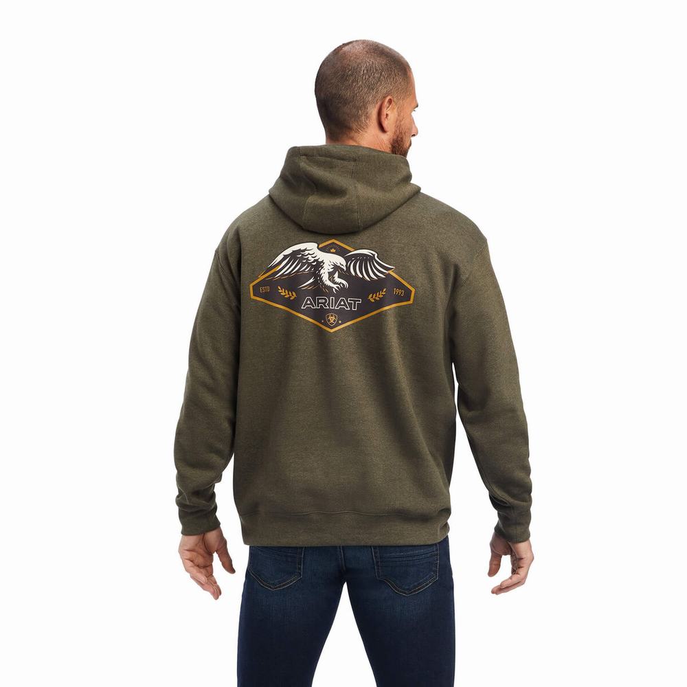 Hoodies Ariat Devotion Eagle Uomo Verde Oliva | IT672TAZW