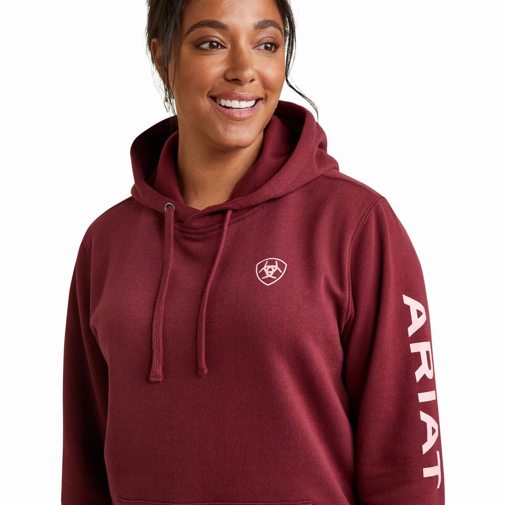 Hoodies Ariat Logo Donna Colorate | IT491WUFB