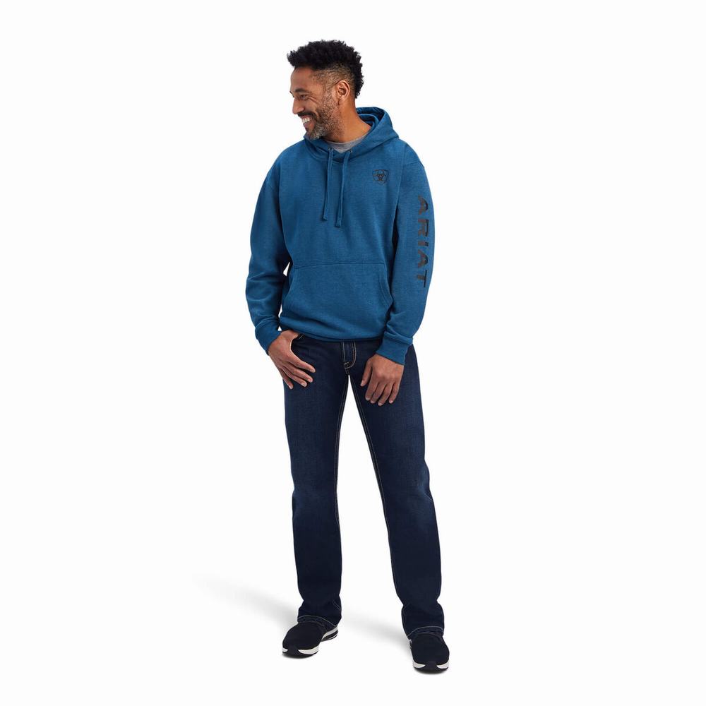 Hoodies Ariat Logo Uomo Blu Marino | IT320GPLV