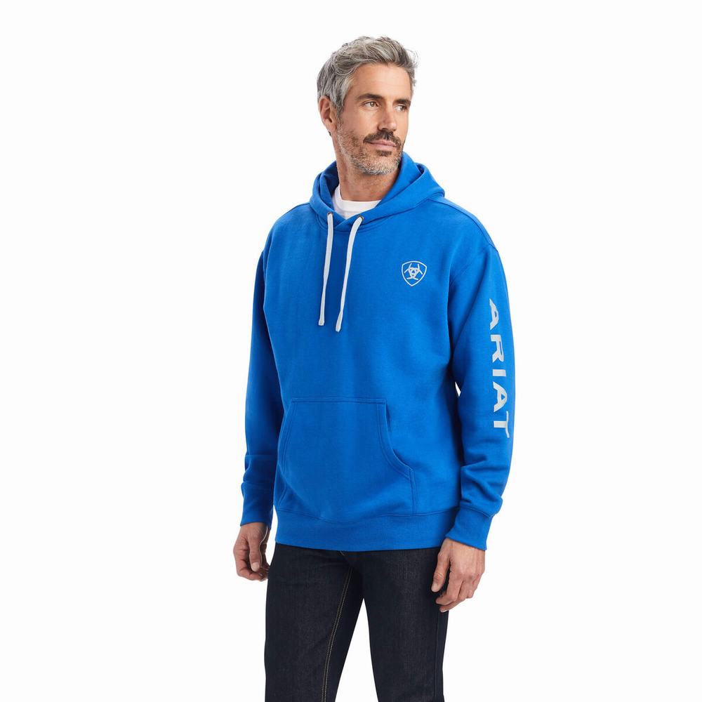 Hoodies Ariat Logo Uomo Blu Profondo | IT534LNHC