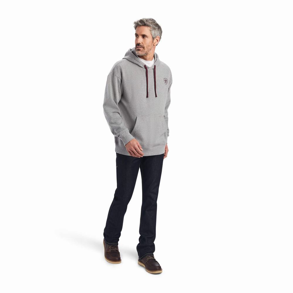 Hoodies Ariat Logo Uomo Grigie | IT540TUAP