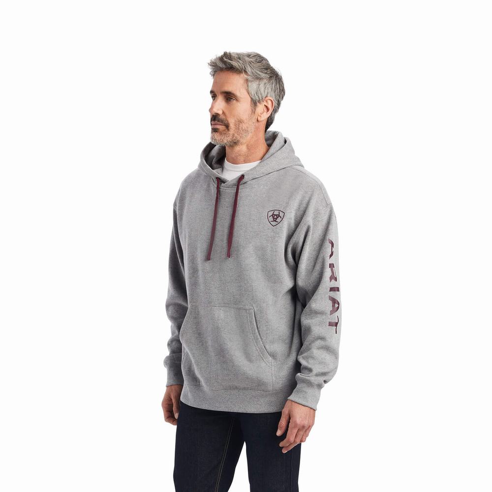 Hoodies Ariat Logo Uomo Grigie | IT540TUAP