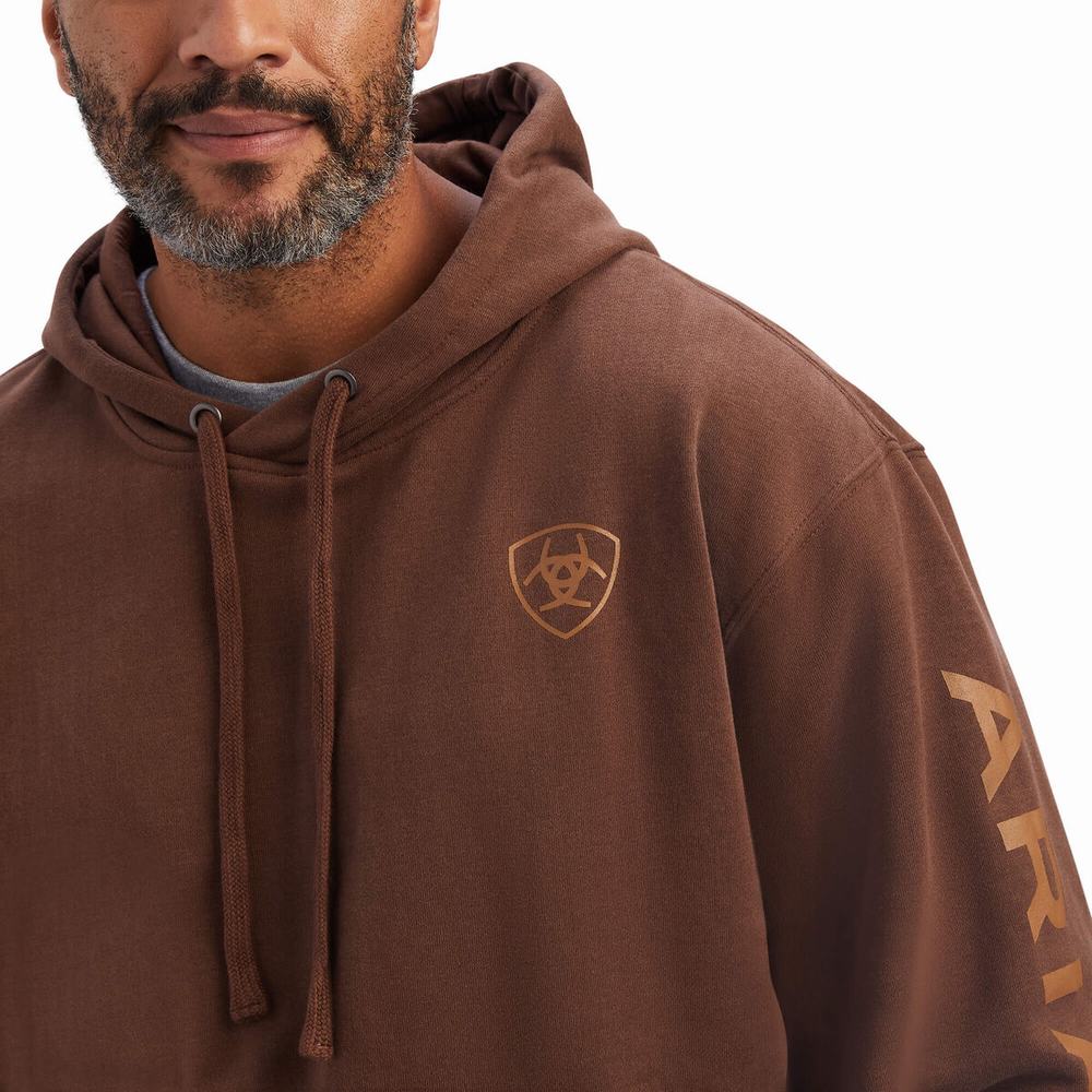 Hoodies Ariat Logo Uomo Marroni | IT241FKAC