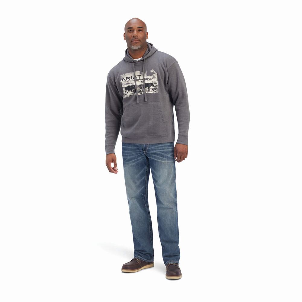 Hoodies Ariat Pastures Uomo Grigie | IT970CVNE