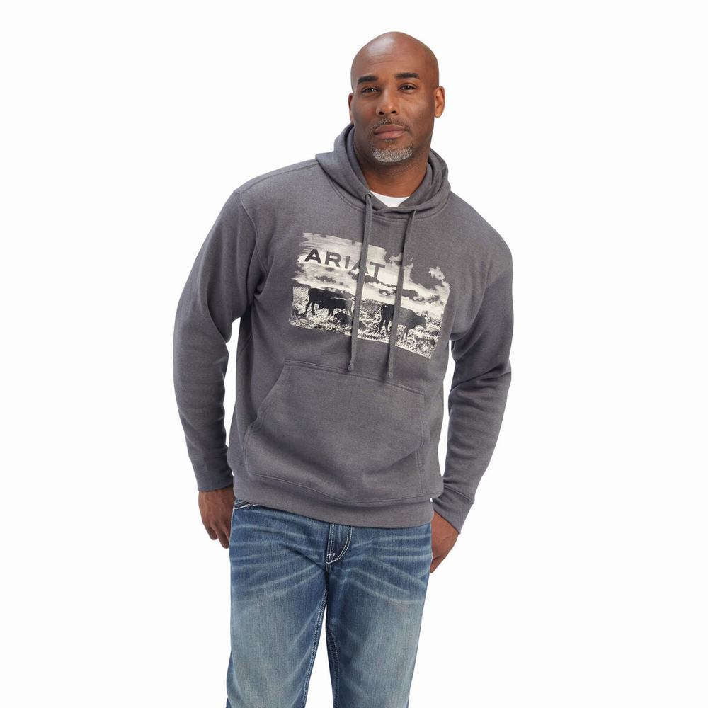 Hoodies Ariat Pastures Uomo Grigie | IT970CVNE