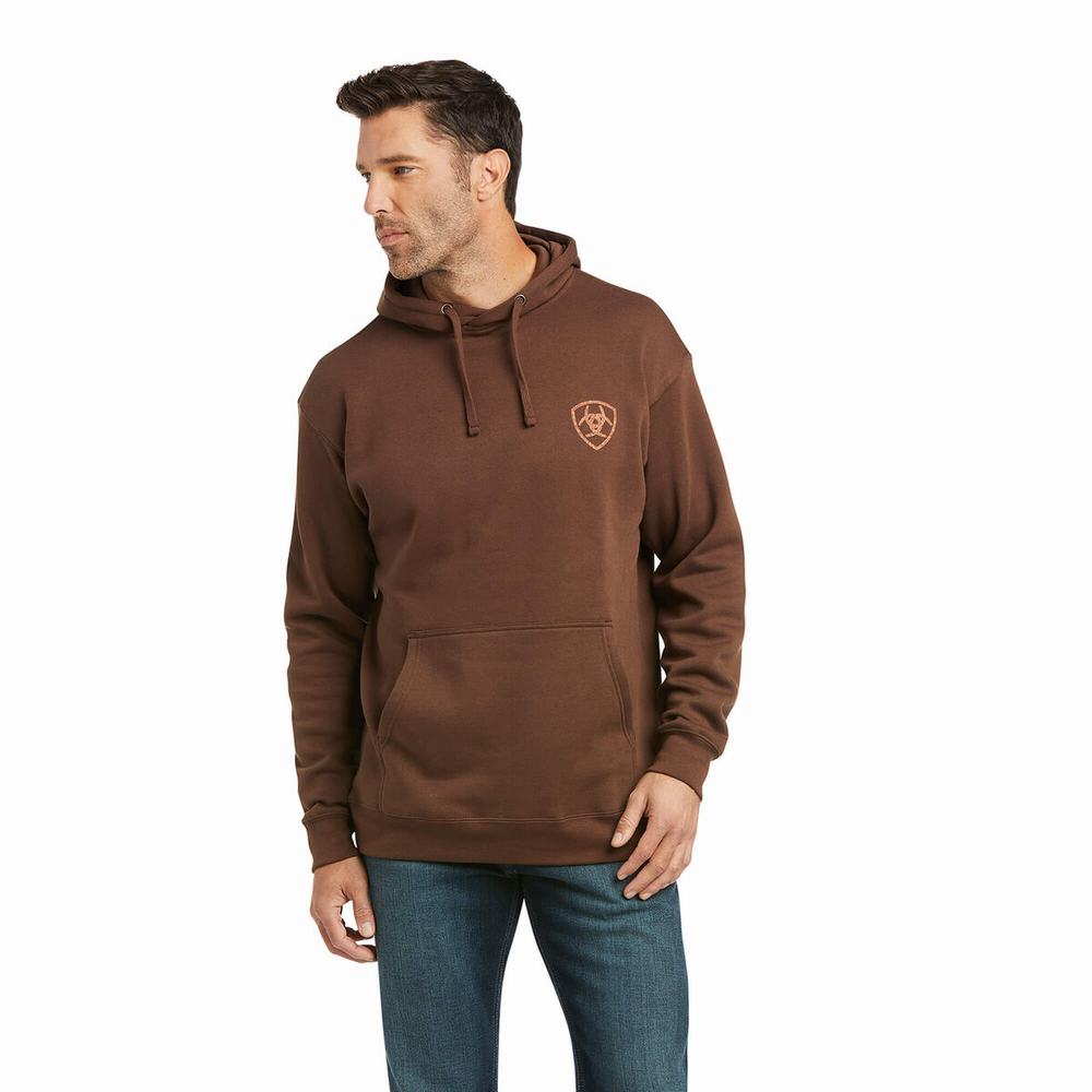 Hoodies Ariat Patriot 2.0 Uomo Marroni Marroni | IT746NKZX