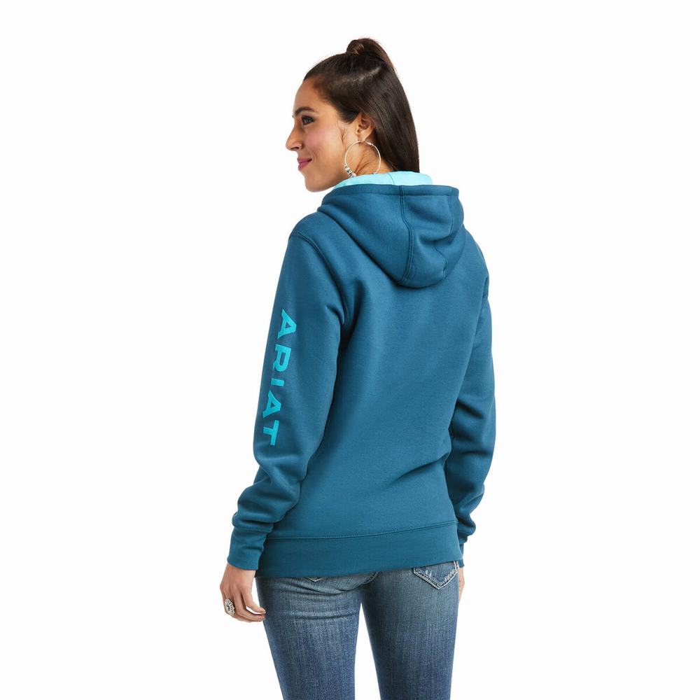 Hoodies Ariat REAL Arm Logo Donna Colorate | IT607XJIK