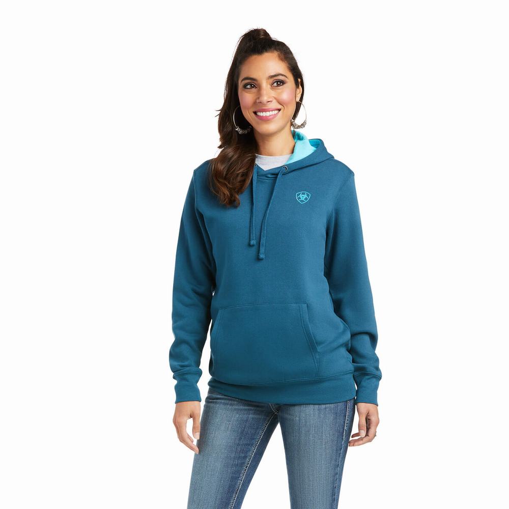 Hoodies Ariat REAL Arm Logo Donna Colorate | IT607XJIK