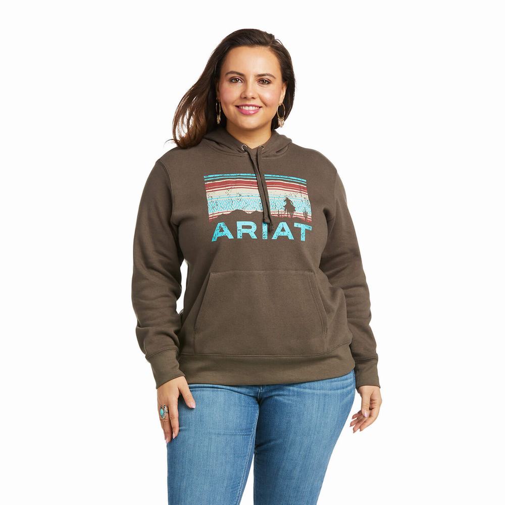 Hoodies Ariat REAL Arm Logo Donna Marroni | IT629MGAH