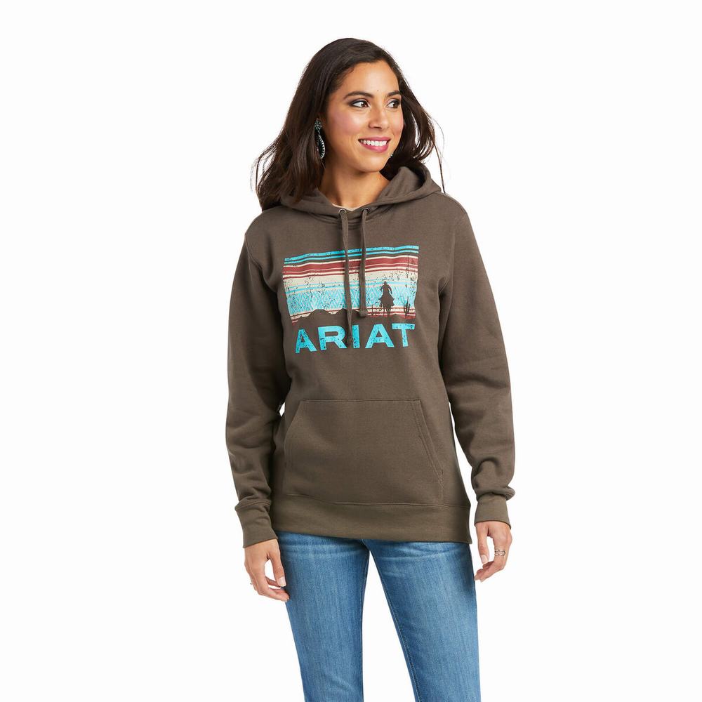 Hoodies Ariat REAL Arm Logo Donna Marroni | IT629MGAH