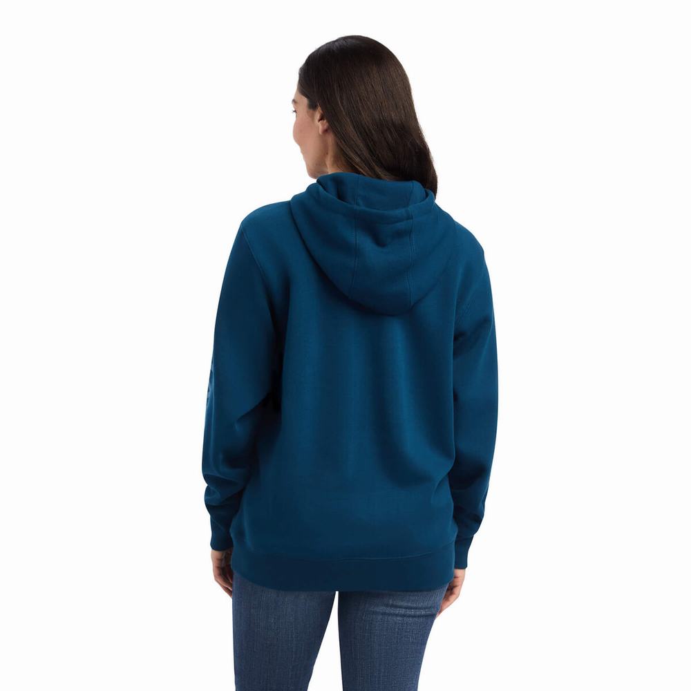 Hoodies Ariat REAL Classiche Arm Logo Donna Colorate | IT032VBLX