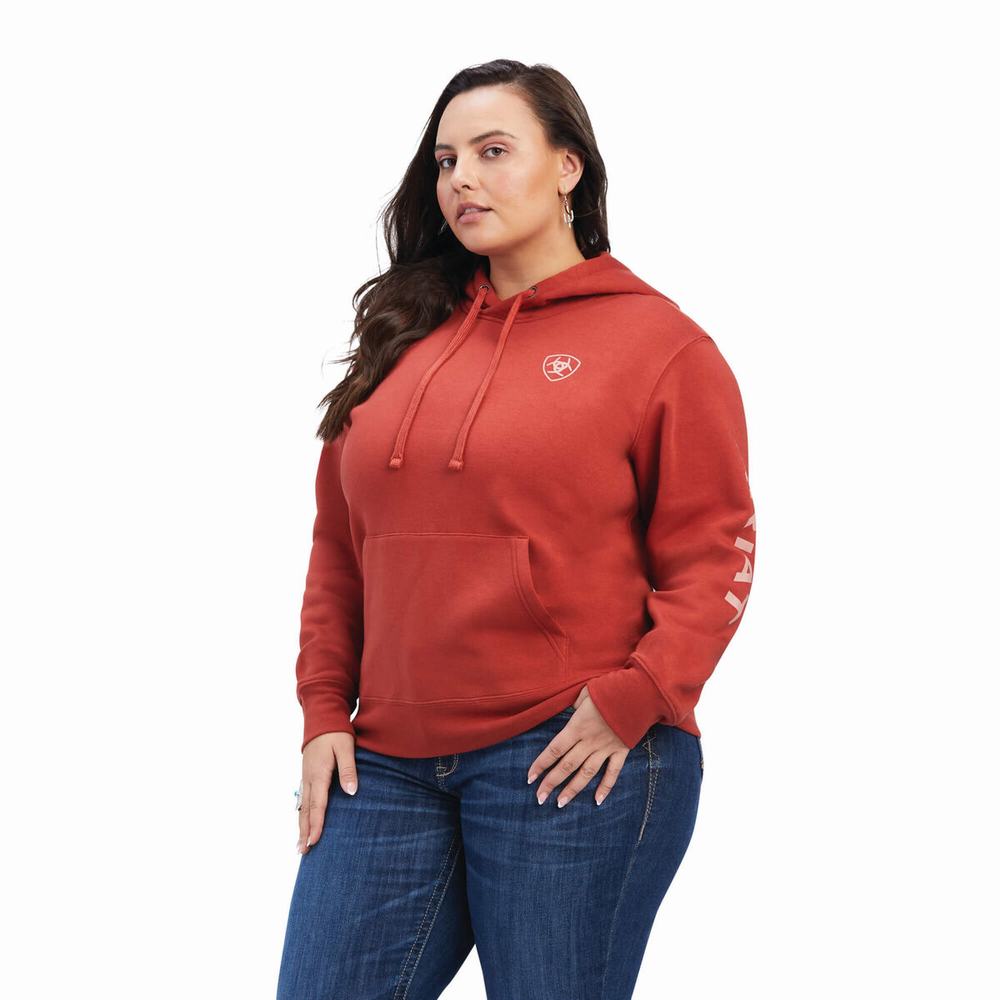 Hoodies Ariat REAL Classiche Arm Logo Donna Colorate | IT481LAMW