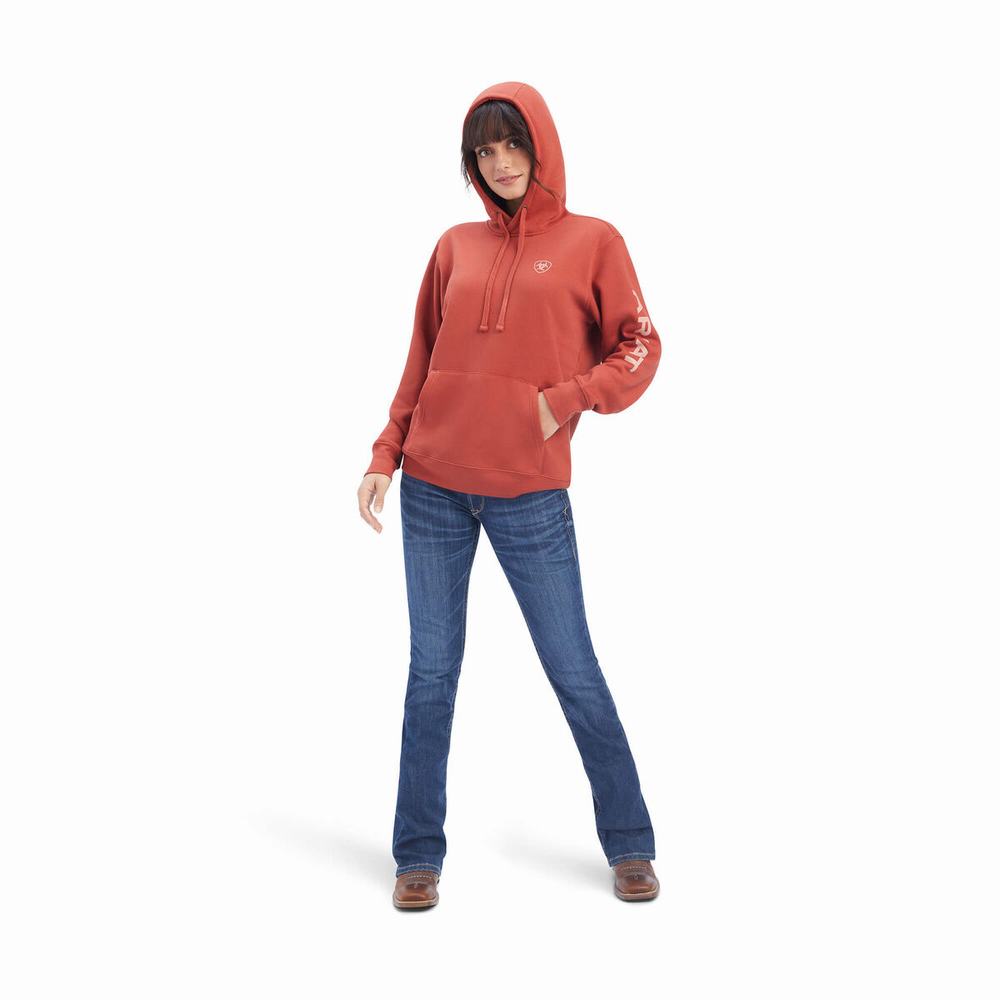 Hoodies Ariat REAL Classiche Arm Logo Donna Colorate | IT481LAMW