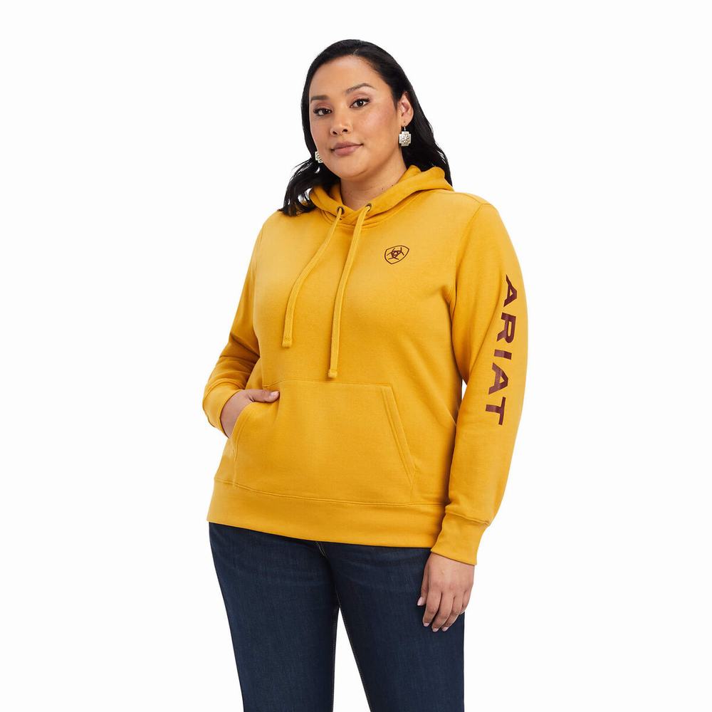 Hoodies Ariat REAL Classiche Arm Logo Donna Oro | IT962IERA