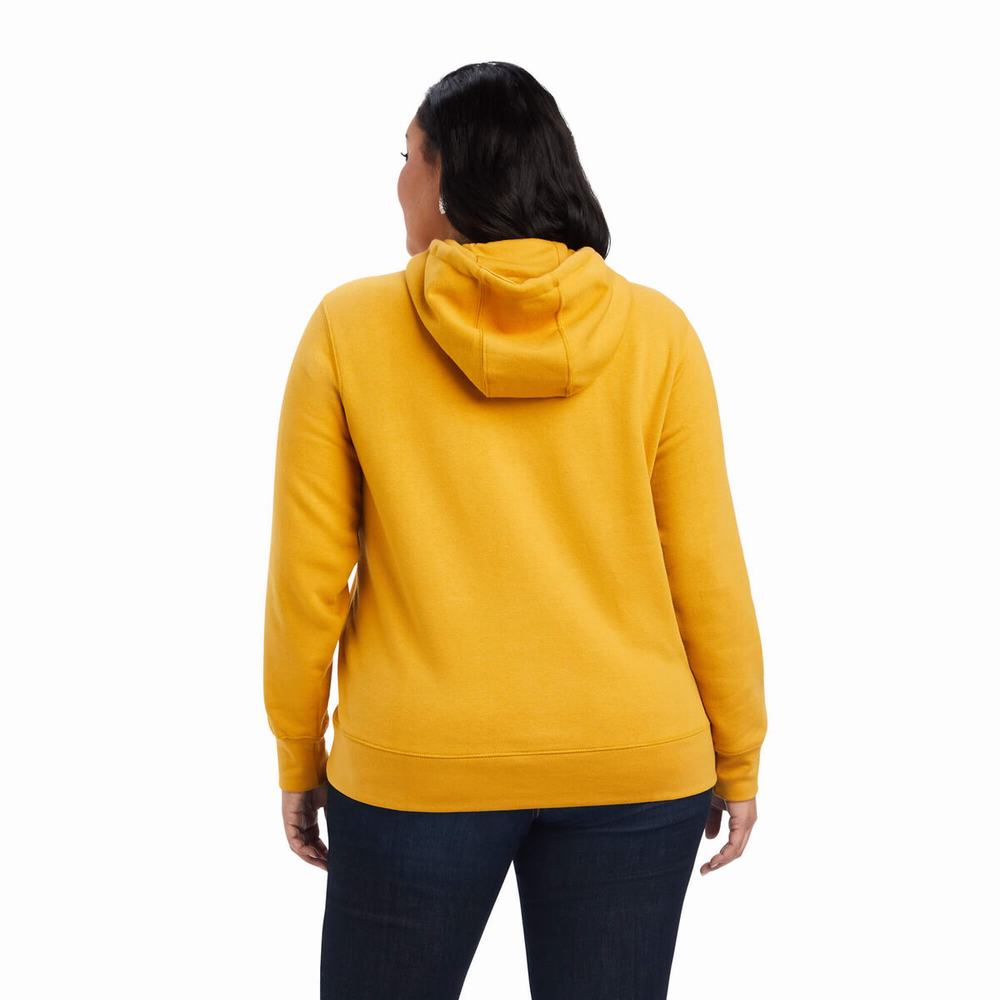 Hoodies Ariat REAL Classiche Arm Logo Donna Oro | IT962IERA