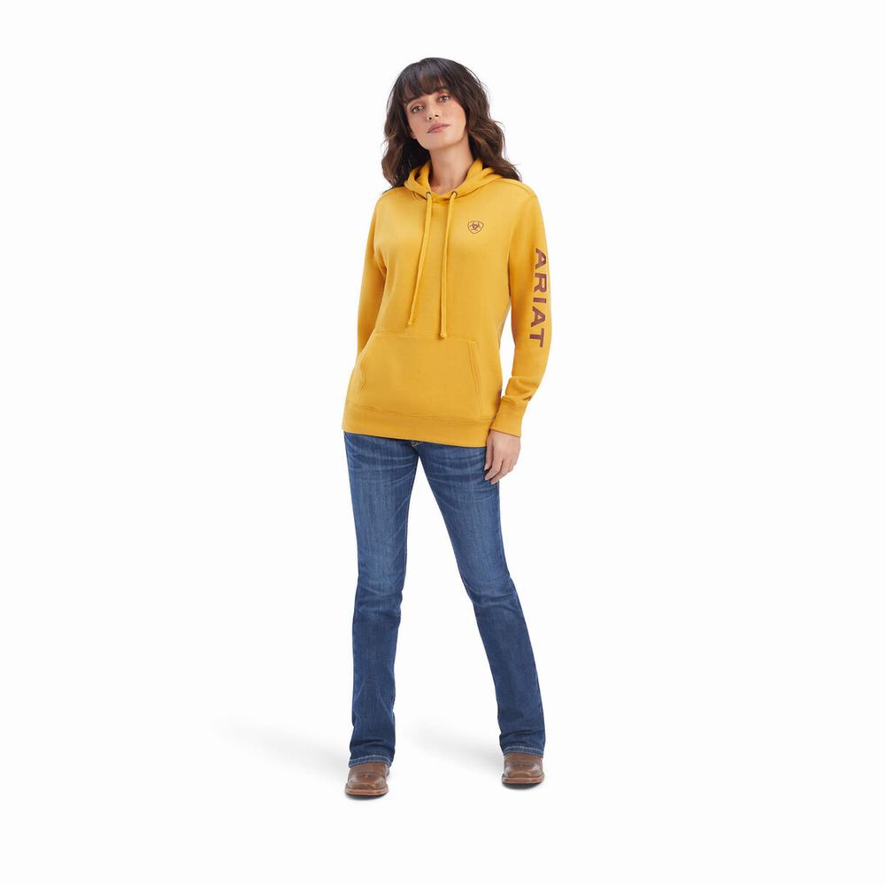 Hoodies Ariat REAL Classiche Arm Logo Donna Oro | IT962IERA