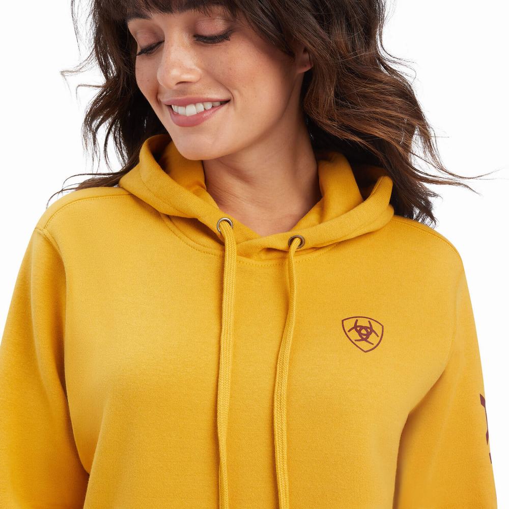 Hoodies Ariat REAL Classiche Arm Logo Donna Oro | IT962IERA