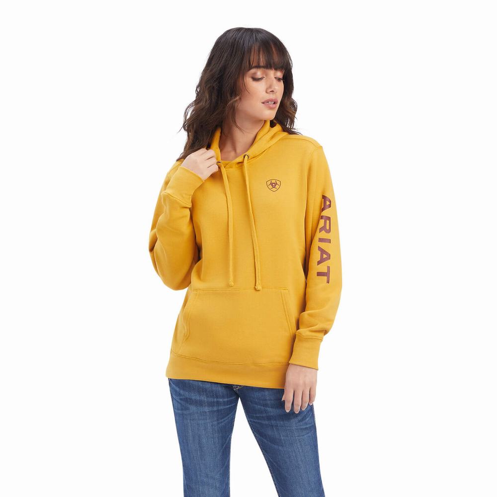 Hoodies Ariat REAL Classiche Arm Logo Donna Oro | IT962IERA