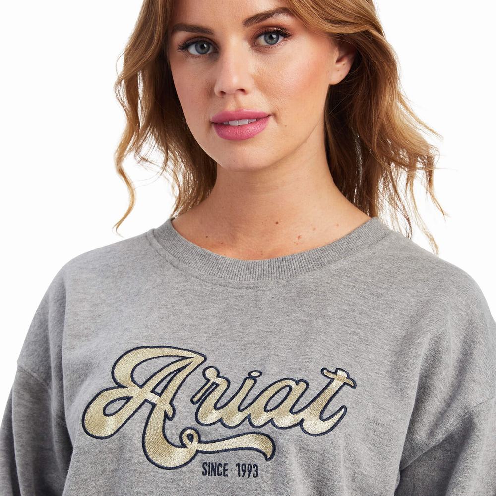 Hoodies Ariat REAL Metallic Varsity Logo Donna Grigie | IT234XEFY