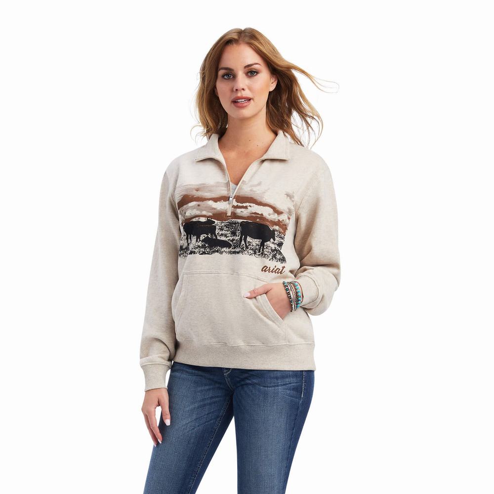 Hoodies Ariat REAL Scenic 1/2 Zip Donna Marroni | IT532LMHF