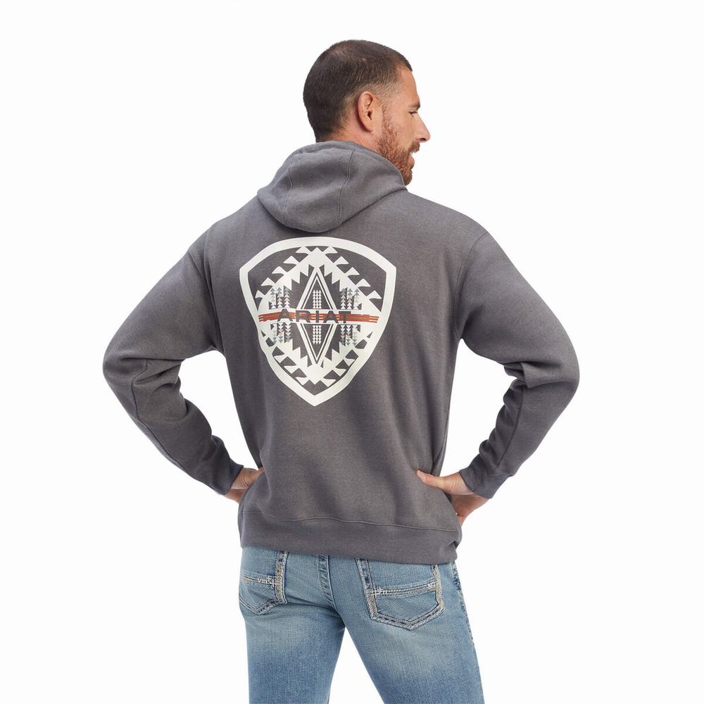 Hoodies Ariat Southwest Shield Uomo Grigie | IT457TPCL