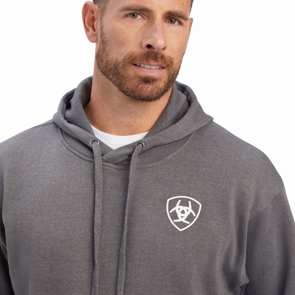 Hoodies Ariat Southwest Shield Uomo Grigie | IT457TPCL