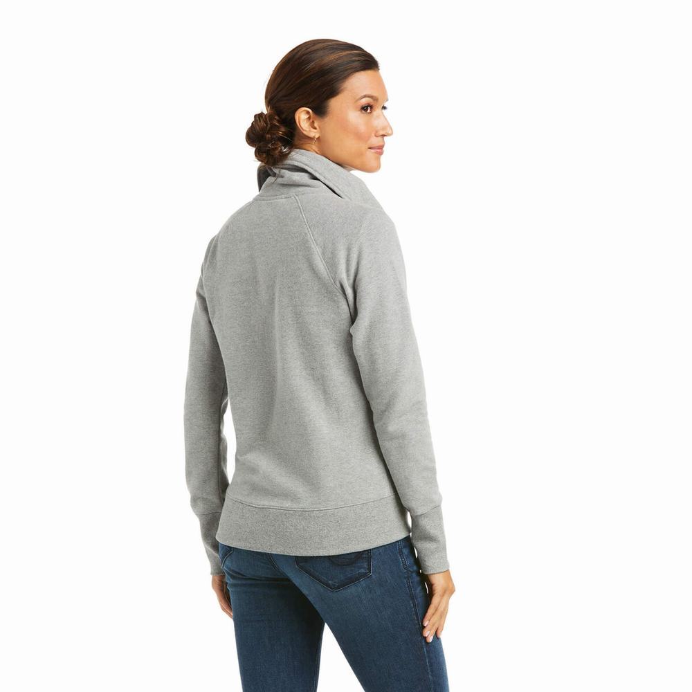 Hoodies Ariat Team Logo Full Zip Donna Grigie | IT342YAFT