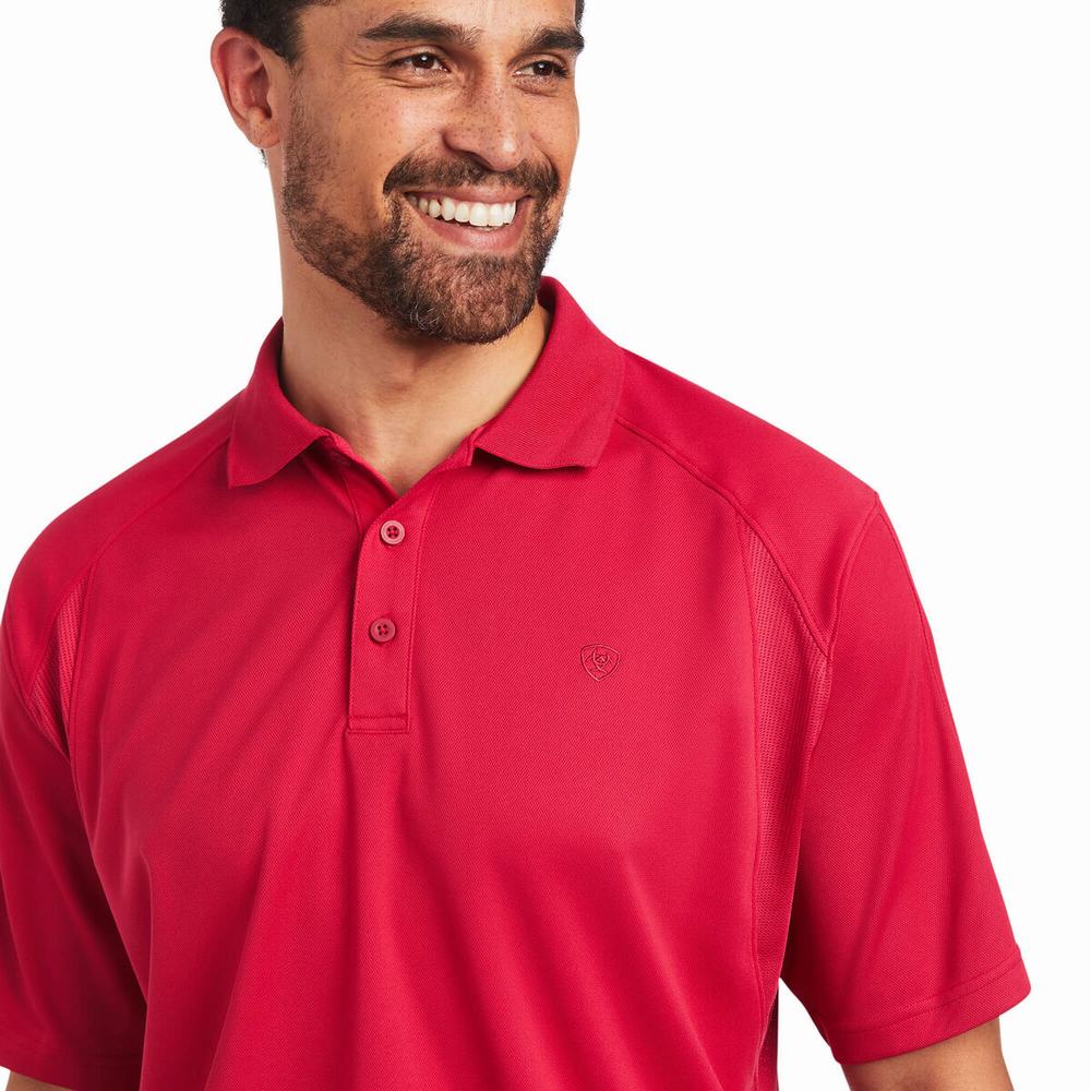 Magliette Polo Ariat AC Uomo Rosa | IT546JFKP