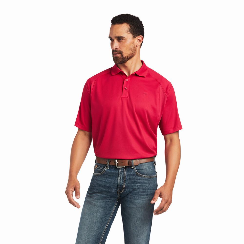 Magliette Polo Ariat AC Uomo Rosa | IT546JFKP