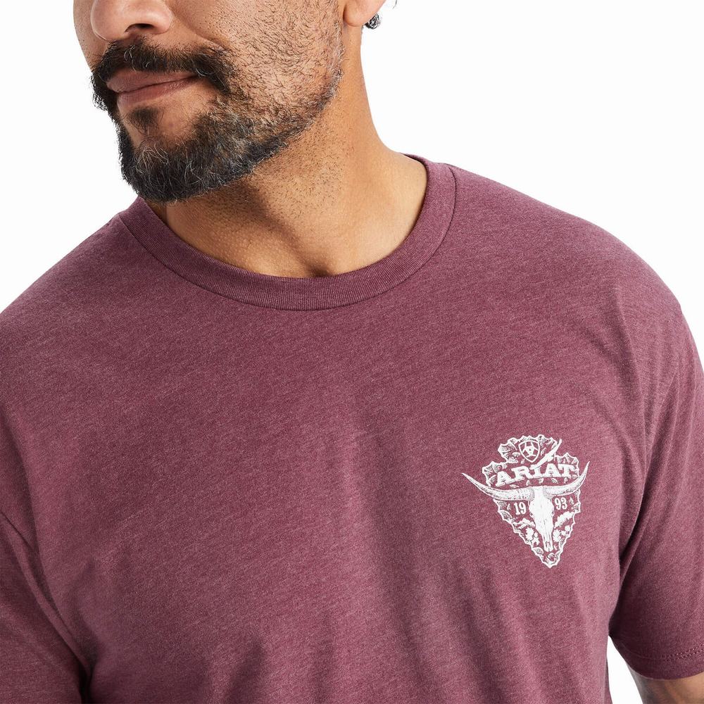 Magliette Polo Ariat Arrowhead 2.0 Uomo Bordeaux | IT724GUKI