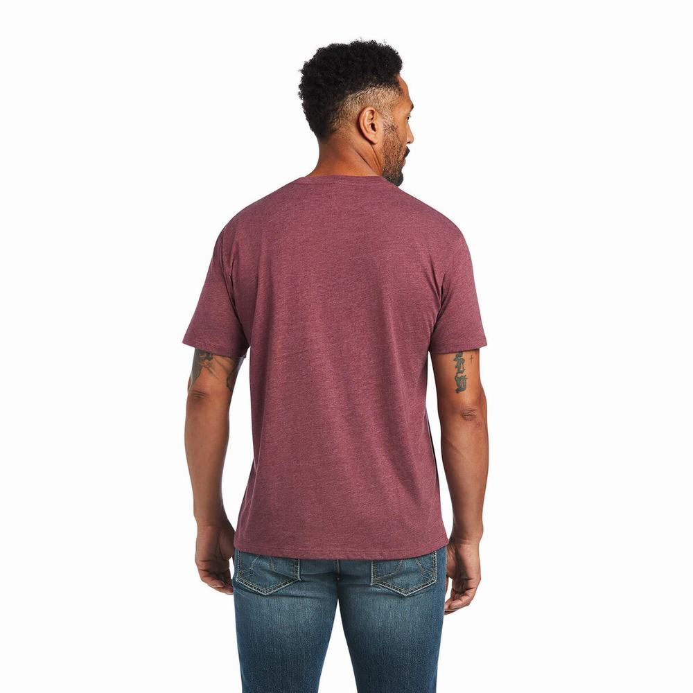 Magliette Polo Ariat Gradient Uomo Bordeaux | IT568BSWP