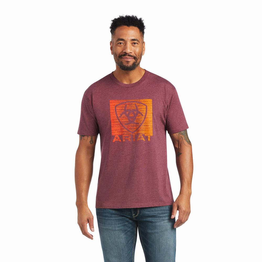 Magliette Polo Ariat Gradient Uomo Bordeaux | IT568BSWP