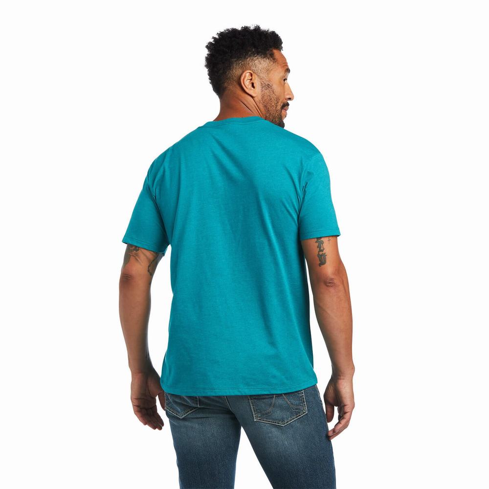 Magliette Polo Ariat Gradient Uomo Verde Acqua Verdi | IT054BEUA