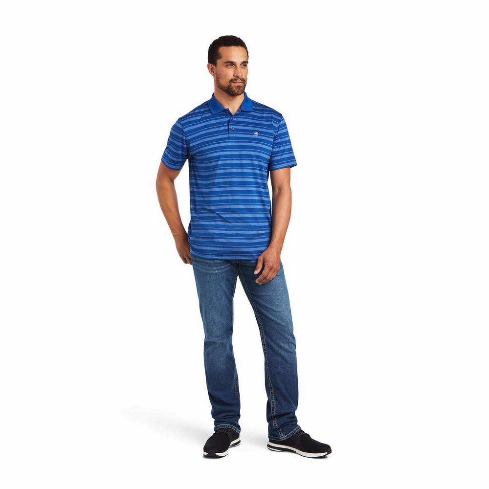 Magliette Polo Ariat Ombre Stripe Ftd Uomo Blu | IT479SBKN