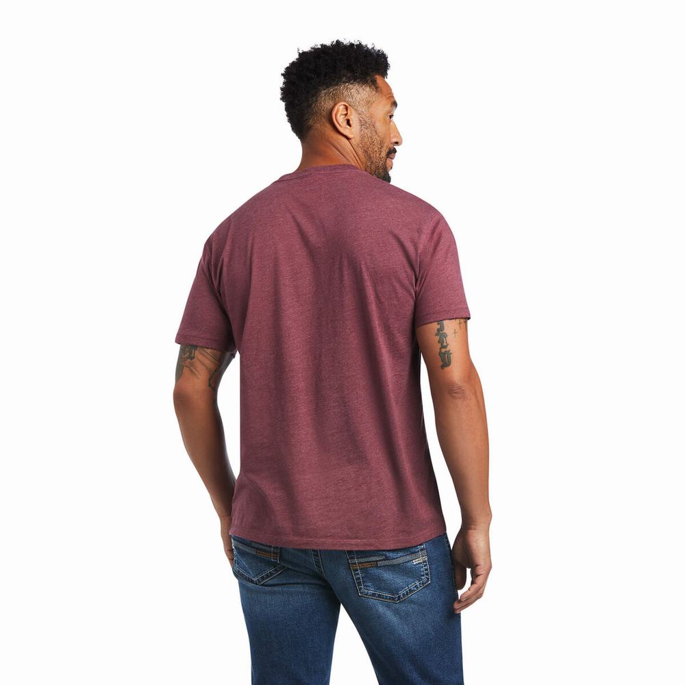 Magliette Polo Ariat Steer Skull USA Uomo Bordeaux | IT237HSXC