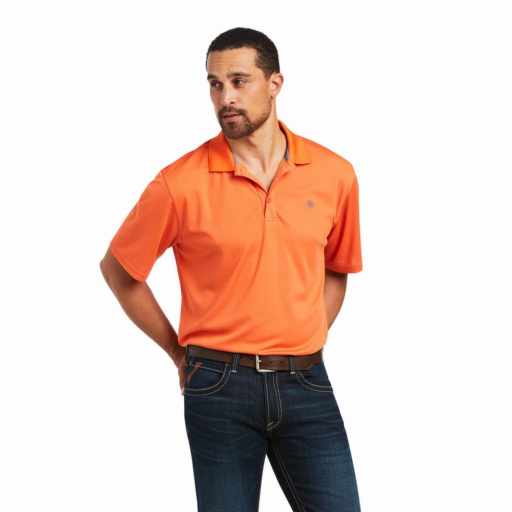 Magliette Polo Ariat TEK Uomo Colorate | IT549EGVY